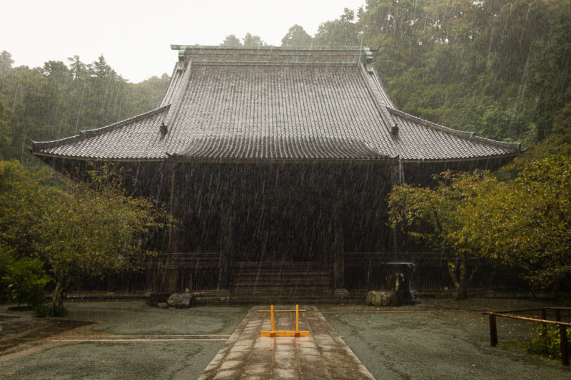 Φωτογραφία από το iPhone 7