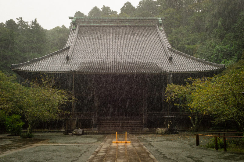 Φωτογραφία από τη Leica M9-P