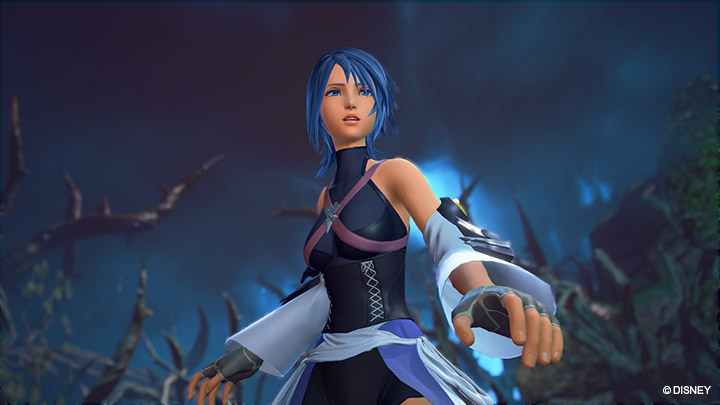 Kingdom-Hearts-HD-Final-Chapter-Prologue-Screenshot3